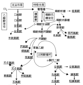 1621558696592825.png image.png