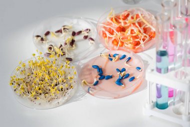 原鑫生物 - 專業大鼠ELISA試劑盒研發公司圖2 原鑫生物 - 專業大鼠ELISA試劑盒研發公司圖2