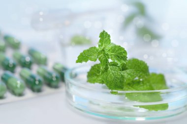 植物elisa試劑盒實驗原理與產品說明簡介 植物elisa試劑盒實驗原理與產品說明簡介