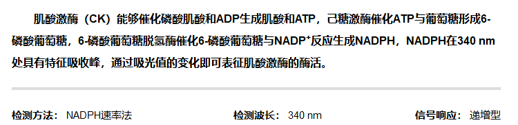 輔酶II - 肌酸激酶活性檢測(cè)試劑盒 輔酶II - 肌酸激酶活性檢測(cè)試劑盒