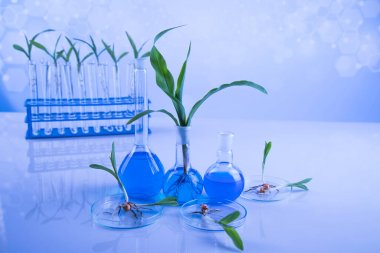 液相色譜串聯(lián)質譜-植物激素檢測代測服務說明圖1 液相色譜串聯(lián)質譜-植物激素檢測代測服務說明圖1