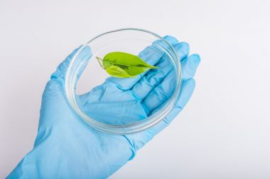 液相色譜串聯(lián)質譜-植物激素檢測代測服務說明圖2 液相色譜串聯(lián)質譜-植物激素檢測代測服務說明圖2