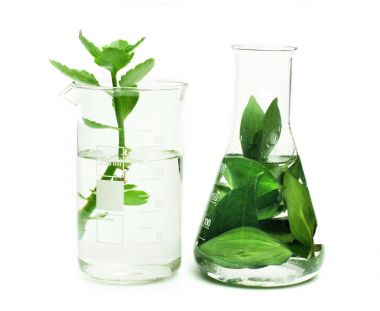 原鑫植物激素類檢測在氣相色譜中的應用圖
