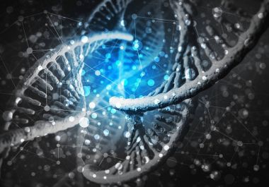 人白介素2受體α(IL-2Rα)elisa測定試劑盒圖2 人白介素2受體α(IL-2Rα)elisa測定試劑盒圖2