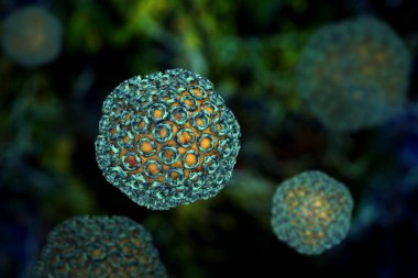 生物胺類檢測在高效液相色譜法中的應用圖1