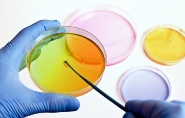 香氣類檢測在氣相色譜(GC)中的應用圖1 香氣類檢測在氣相色譜(GC)中的應用圖1
