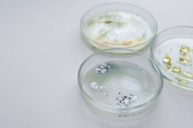 細菌總蛋白提取試劑盒圖1 細菌總蛋白提取試劑盒圖1