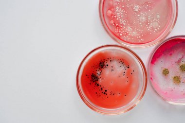 氣相質譜(GC-MS)五大檢測分析優勢圖3 氣相質譜(GC-MS)五大檢測分析優勢圖3