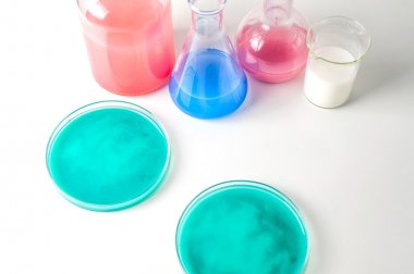 牛奶-內酰胺酶(-lactamase)ELISA試劑盒 牛奶-內酰胺酶(-lactamase)ELISA試劑盒