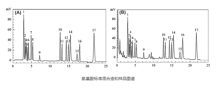 LCMS氨基酸檢測圖譜報告 LCMS氨基酸檢測圖譜報告